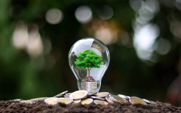Nanotechnology Investment And Portfolio: The Next Stage Of Investing